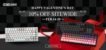 Valentine's Day Sale: Sweet Deals, Sweet Gifts at MechLands!